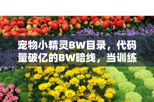 宠物小精灵BW目录，代码量破亿的BW暗线，当训练家头皮发麻时，我成了合众的数字原住民