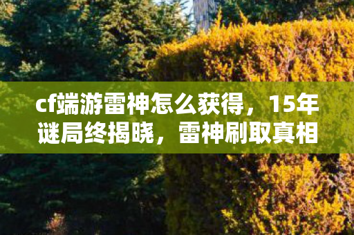 cf端游雷神怎么获得,15年谜局终揭晓,雷神刷取真相竟藏在这串代码里,泪目! cf端游雷神怎么获得,15年谜局终揭晓,雷神刷取真相竟藏在这串代码里,泪目!