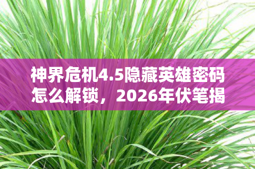 神界危机4.5隐藏英雄密码怎么解锁,2026年伏笔揭开时,那些陪你找密码的人,让我鼻子一酸 神界危机4.5隐藏英雄密码怎么解锁,2026年伏笔揭开时,那些陪你找密码的人,让我鼻子一酸