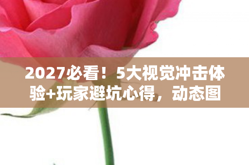 2027必看!5大视觉冲击体验+玩家避坑心得,动态图审美红线在哪? 2027必看!5大视觉冲击体验+玩家避坑心得,动态图审美红线在哪?