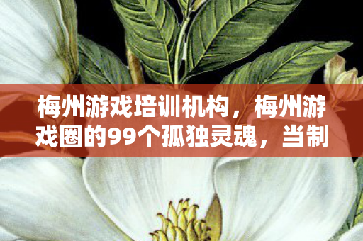 梅州游戏培训机构,梅州游戏圈的99个孤独灵魂,当制作人、玩家与测试员在深夜相遇 梅州游戏培训机构,梅州游戏圈的99个孤独灵魂,当制作人、玩家与测试员在深夜相遇