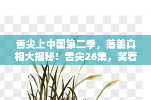 舌尖上中国第二季,落差真相大揭秘!舌尖26集,笑着骂游戏,骂完笑着哭了 舌尖上中国第二季,落差真相大揭秘!舌尖26集,笑着骂游戏,骂完笑着哭了