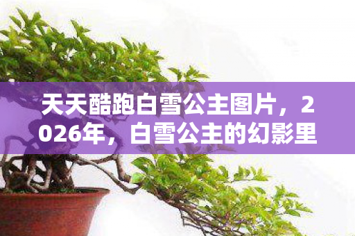 天天酷跑白雪公主图片,2026年,白雪公主的幻影里,谁曾说别走,让我鼻子一酸 天天酷跑白雪公主图片,2026年,白雪公主的幻影里,谁曾说别走,让我鼻子一酸