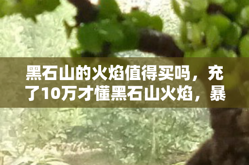 黑石山的火焰值得买吗，充了10万才懂黑石山火焰，暴雪这刀砍得我钱包吓一跳的隐情！