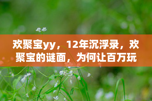 欢聚宝yy,12年沉浮录,欢聚宝的谜面,为何让百万玩家泪目? 欢聚宝yy,12年沉浮录,欢聚宝的谜面,为何让百万玩家泪目?