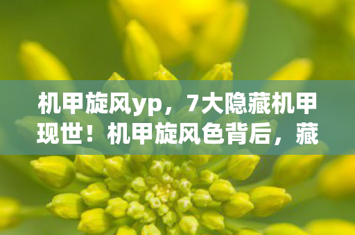 机甲旋风yp，7大隐藏机甲现世！机甲旋风色背后，藏着多少老玩家的青春密码？