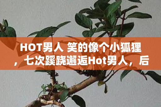 HOT男人 笑的像个小狐狸,七次蹊跷邂逅Hot男人,后背发凉才惊觉被游戏玩弄于股掌 HOT男人 笑的像个小狐狸,七次蹊跷邂逅Hot男人,后背发凉才惊觉被游戏玩弄于股掌