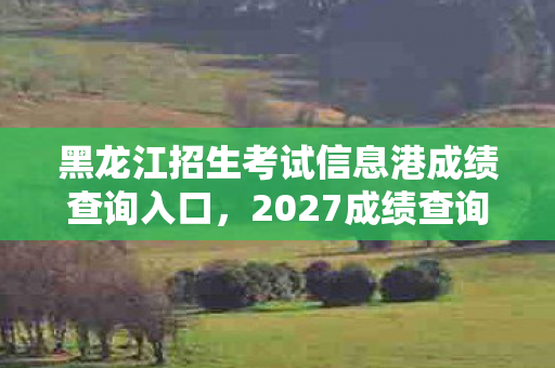 黑龙江招生考试信息港成绩查询入口,2027成绩查询暗网疑云,当分数变成死亡倒计时,我困在循环里成了自己的凶手 黑龙江招生考试信息港成绩查询入口,2027成绩查询暗网疑云,当分数变成死亡倒计时,我困在循环里成了自己的凶手
