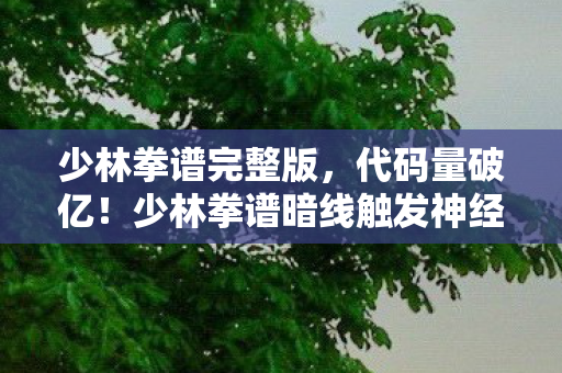 少林拳谱完整版，代码量破亿！少林拳谱暗线触发神经共振，玩家集体头皮发麻