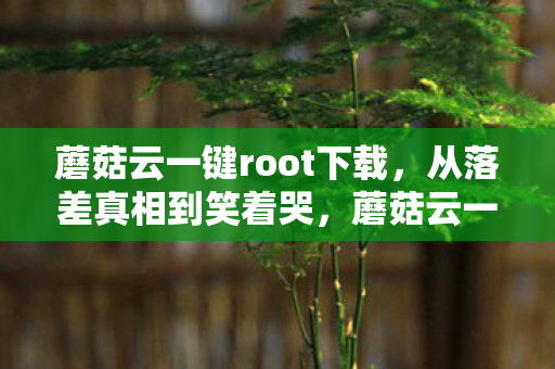 蘑菇云一键root下载,从落差真相到笑着哭,蘑菇云一键root坑了我,我却笑着再入坑 蘑菇云一键root下载,从落差真相到笑着哭,蘑菇云一键root坑了我,我却笑着再入坑