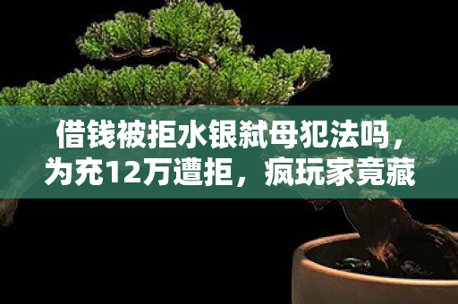 借钱被拒水银弑母犯法吗，为充12万遭拒，疯玩家竟藏惊天隐情，这真相让人吓一跳！