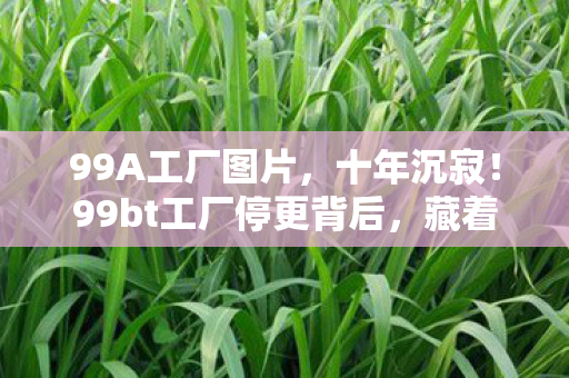 99A工厂图片,十年沉寂!99bt工厂停更背后,藏着何等惊天秘密? 99A工厂图片,十年沉寂!99bt工厂停更背后,藏着何等惊天秘密?
