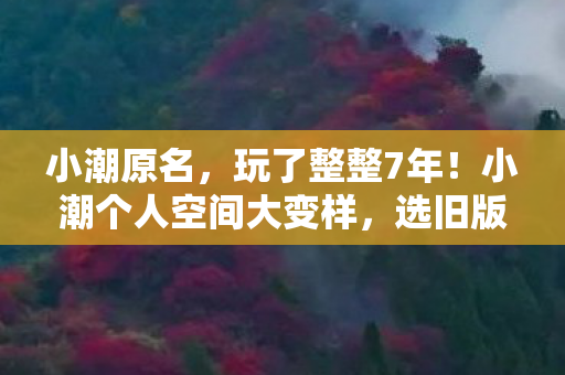 小潮原名,玩了整整7年!小潮个人空间大变样,选旧版还是新版让人纠结到疯? 小潮原名,玩了整整7年!小潮个人空间大变样,选旧版还是新版让人纠结到疯?