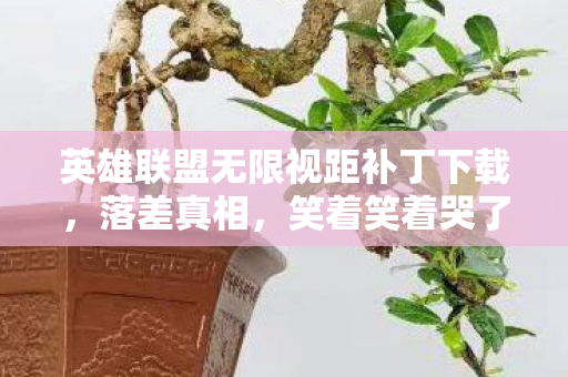 英雄联盟无限视距补丁下载,落差真相,笑着笑着哭了,无限视距曾是信仰,如今只剩荒凉 英雄联盟无限视距补丁下载,落差真相,笑着笑着哭了,无限视距曾是信仰,如今只剩荒凉