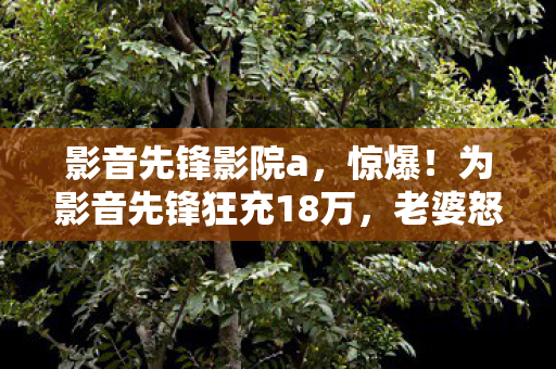 影音先锋影院a,惊爆!为影音先锋狂充18万,老婆怒签离婚书,背后隐情吓你一跳! 影音先锋影院a,惊爆!为影音先锋狂充18万,老婆怒签离婚书,背后隐情吓你一跳!