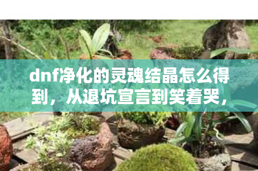 dnf净化的灵魂结晶怎么得到,从退坑宣言到笑着哭,净化的灵魂结晶真相,戳中了多少人的落差? dnf净化的灵魂结晶怎么得到,从退坑宣言到笑着哭,净化的灵魂结晶真相,戳中了多少人的落差?