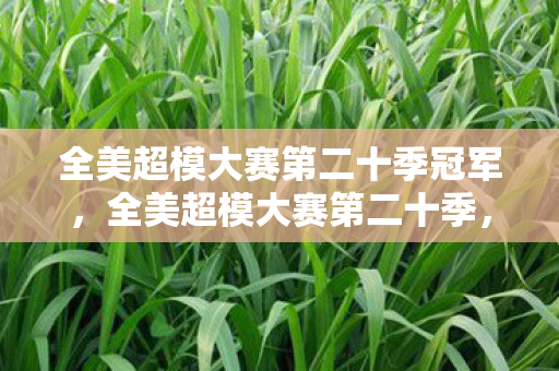 全美超模大赛第二十季冠军,全美超模大赛第二十季,巅峰之巅的悖论,灵魂震颤的自由幻灭 全美超模大赛第二十季冠军,全美超模大赛第二十季,巅峰之巅的悖论,灵魂震颤的自由幻灭