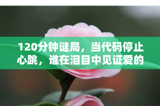120分钟谜局,当代码停止心跳,谁在泪目中见证爱的消亡? 120分钟谜局,当代码停止心跳,谁在泪目中见证爱的消亡?