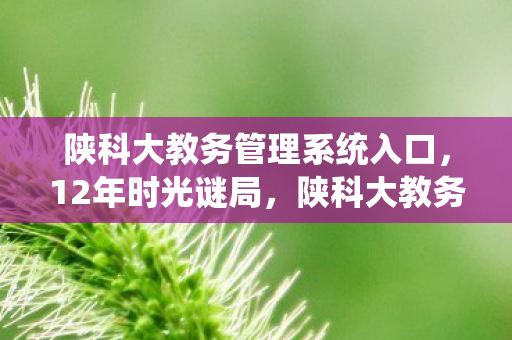 陕科大教务管理系统入口,12年时光谜局,陕科大教务系统的数字长河与无声泪目 陕科大教务管理系统入口,12年时光谜局,陕科大教务系统的数字长河与无声泪目