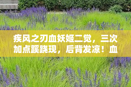 疾风之刃血妖姬二觉,三次加点蹊跷现,后背发凉!血妖姬背后竟藏惊天秘密 疾风之刃血妖姬二觉,三次加点蹊跷现,后背发凉!血妖姬背后竟藏惊天秘密