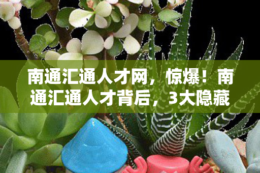 南通汇通人才网,惊爆!南通汇通人才背后,3大隐藏设计竟藏着这般惊人秘密! 南通汇通人才网,惊爆!南通汇通人才背后,3大隐藏设计竟藏着这般惊人秘密!