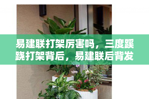 易建联打架厉害吗,三度蹊跷打架背后,易建联后背发凉的真相竟藏了十年 易建联打架厉害吗,三度蹊跷打架背后,易建联后背发凉的真相竟藏了十年
