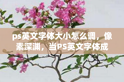 ps英文字体大小怎么调，像素深渊，当PS英文字体成为囚禁灵魂的层级悖论，自由是永恒震颤的幻觉？