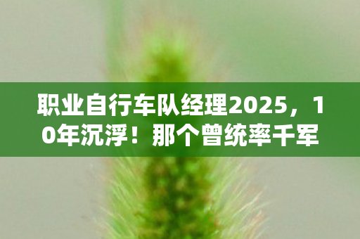 职业自行车队经理2025，10年沉浮！那个曾统率千军的职业自行车队经理，如今只剩泪与遗憾？
