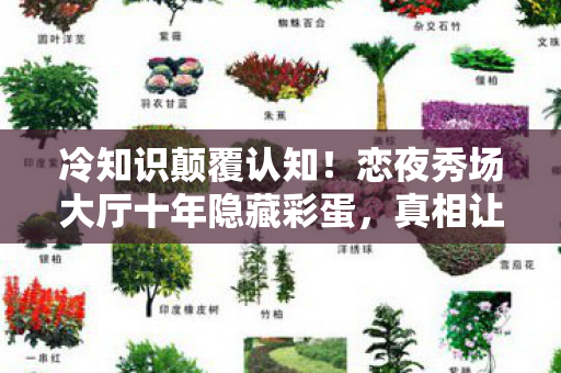冷知识颠覆认知！恋夜秀场大厅十年隐藏彩蛋，真相让人目瞪口呆！