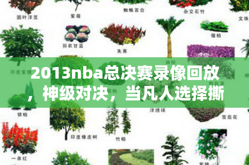 2013nba总决赛录像回放,神级对决,当凡人选择撕裂命运层级,篮球场上的存在主义悖论 2013nba总决赛录像回放,神级对决,当凡人选择撕裂命运层级,篮球场上的存在主义悖论