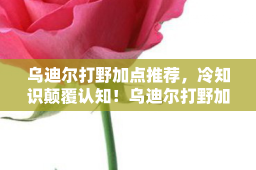 乌迪尔打野加点推荐，冷知识颠覆认知！乌迪尔打野加点竟藏着目瞪口呆的十年谎言