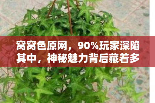 窝窝色原网,90%玩家深陷其中,神秘魅力背后藏着多少扎心真相? 窝窝色原网,90%玩家深陷其中,神秘魅力背后藏着多少扎心真相?