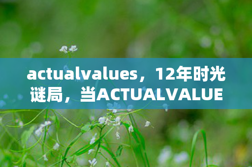actualvalues,12年时光谜局,当ACTUALVALUE的服务器灯熄灭时,泪目了 actualvalues,12年时光谜局,当ACTUALVALUE的服务器灯熄灭时,泪目了