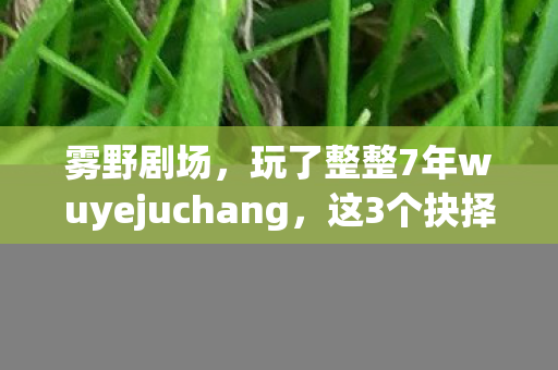 雾野剧场,玩了整整7年wuyejuchang,这3个抉择让我至今难以释怀! 雾野剧场,玩了整整7年wuyejuchang,这3个抉择让我至今难以释怀!