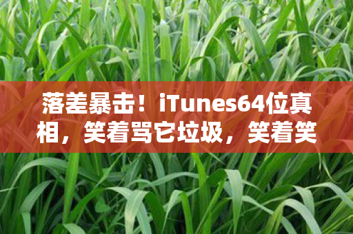 落差暴击!iTunes64位真相,笑着骂它垃圾,笑着笑着就哭了 落差暴击!iTunes64位真相,笑着骂它垃圾,笑着笑着就哭了