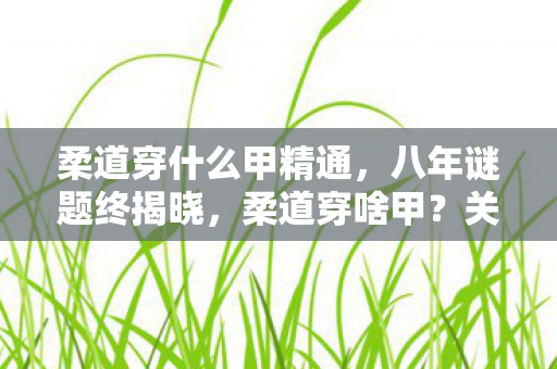 柔道穿什么甲精通,八年谜题终揭晓,柔道穿啥甲?关服那一刻,泪目竟因这? 柔道穿什么甲精通,八年谜题终揭晓,柔道穿啥甲?关服那一刻,泪目竟因这?
