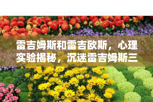 雷吉姆斯和雷吉欧斯,心理实验揭秘,沉迷雷吉姆斯三年,细思极恐的自我囚禁 雷吉姆斯和雷吉欧斯,心理实验揭秘,沉迷雷吉姆斯三年,细思极恐的自我囚禁