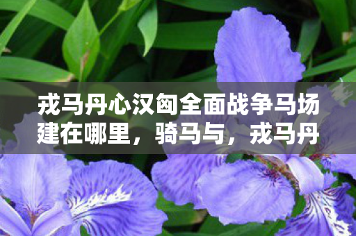 戎马丹心汉匈全面战争马场建在哪里,骑马与,戎马丹心衍生数破圈!汉匈周边竟让我买到意想不到! 戎马丹心汉匈全面战争马场建在哪里,骑马与,戎马丹心衍生数破圈!汉匈周边竟让我买到意想不到!
