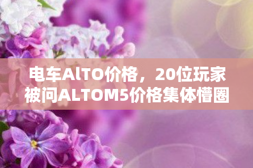 电车AlTO价格,20位玩家被问ALTOM5价格集体懵圈!这疑点谁绷得住? 电车AlTO价格,20位玩家被问ALTOM5价格集体懵圈!这疑点谁绷得住?
