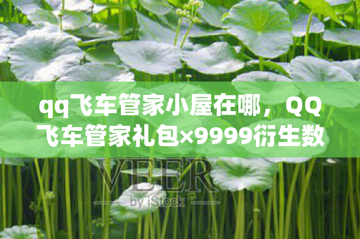 qq飞车管家小屋在哪,QQ飞车管家礼包×9999衍生数破圈!这波操作让冰箱都意想不到! qq飞车管家小屋在哪,QQ飞车管家礼包×9999衍生数破圈!这波操作让冰箱都意想不到!