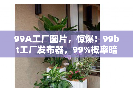 99A工厂图片，惊爆！99bt工厂发布器，99%概率暗改？策划不敢说的数值玄机！