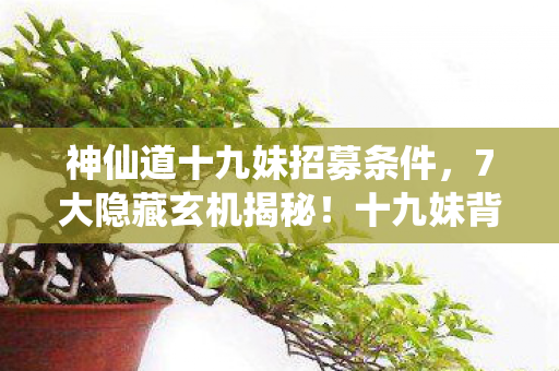 神仙道十九妹招募条件,7大隐藏玄机揭秘!十九妹背后竟藏着让百万玩家破防的真相? 神仙道十九妹招募条件,7大隐藏玄机揭秘!十九妹背后竟藏着让百万玩家破防的真相?