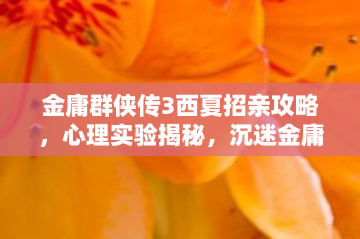金庸群侠传3西夏招亲攻略,心理实验揭秘,沉迷金庸群侠传3西夏招亲,细思极恐的自我囚禁 金庸群侠传3西夏招亲攻略,心理实验揭秘,沉迷金庸群侠传3西夏招亲,细思极恐的自我囚禁