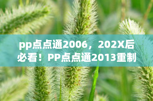 pp点点通2006,202X后必看!PP点点通2013重制版体验,这5个隐藏功能让我彻夜难眠 pp点点通2006,202X后必看!PP点点通2013重制版体验,这5个隐藏功能让我彻夜难眠