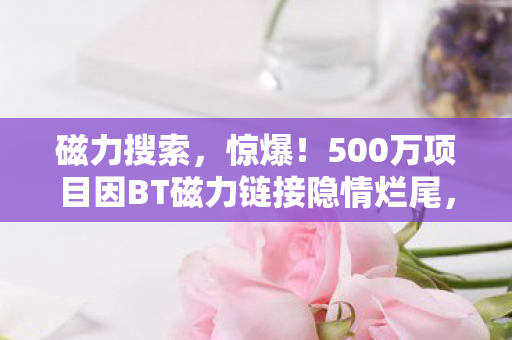 磁力搜索，惊爆！500万项目因BT磁力链接隐情烂尾，真相让人吓一跳！