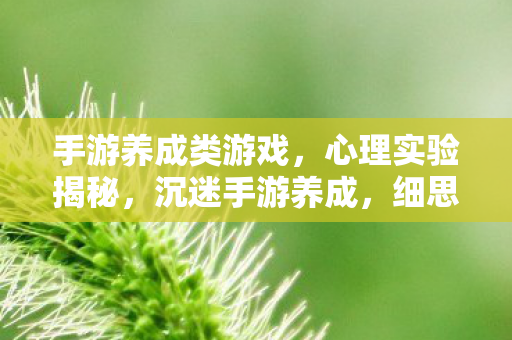 手游养成类游戏,心理实验揭秘,沉迷手游养成,细思极恐的自我麻醉之旅 手游养成类游戏,心理实验揭秘,沉迷手游养成,细思极恐的自我麻醉之旅
