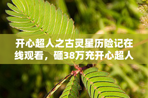 开心超人之古灵星历险记在线观看,砸38万充开心超人!离婚协议藏隐情,老婆这一招让我吓一跳! 开心超人之古灵星历险记在线观看,砸38万充开心超人!离婚协议藏隐情,老婆这一招让我吓一跳!