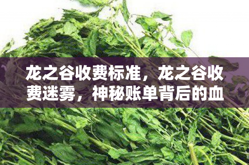 龙之谷收费标准,龙之谷收费迷雾,神秘账单背后的血色悬案与毛骨悚然真相 龙之谷收费标准,龙之谷收费迷雾,神秘账单背后的血色悬案与毛骨悚然真相