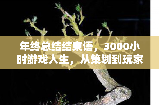 年终总结结束语,3000小时游戏人生,从策划到玩家,这届制作人怎么活成了电子乞丐? 年终总结结束语,3000小时游戏人生,从策划到玩家,这届制作人怎么活成了电子乞丐?