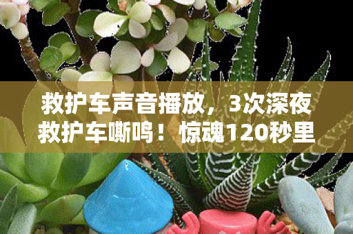 救护车声音播放,3次深夜救护车嘶鸣!惊魂120秒里我读懂了生命的重量 救护车声音播放,3次深夜救护车嘶鸣!惊魂120秒里我读懂了生命的重量